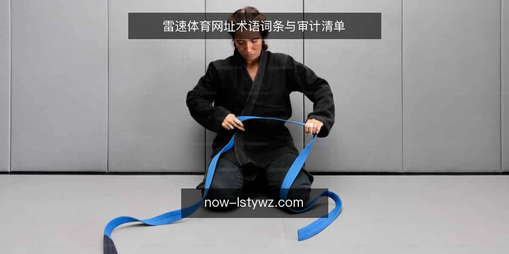 雷速体育网址术语词条与审计清单 — 为何现在审计雷速体育网址 配图