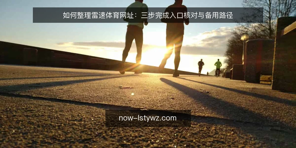 如何整理雷速体育网址：三步完成入口核对与备用路径 — 准备：整理核对所需的输入与工具 配图