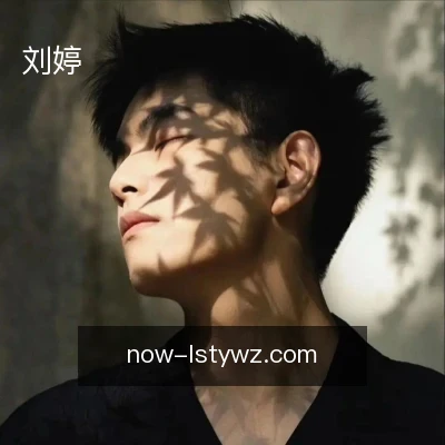 刘婷
